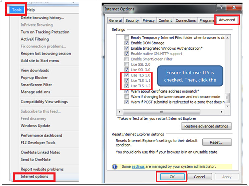 internet options screen with TLS sections checked.